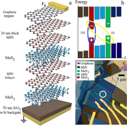 Figure 1. Coupled quantum well van der Waals heterostructure. Layer (a) and energy-band (b) diagrams. Ovals indicate direct (DX) and indirect (IX) excitons composed of electron and hole. (c) Microscope image showing layer pattern of device. Laser excitation target is indicated by circle.