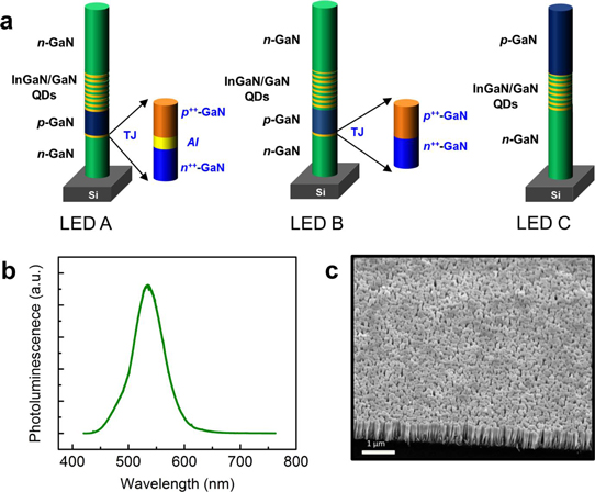 Figure 1: (a) Schematic of LEDs with Al tunnel junction dot-in-a-wire (LED A), n++-GaN/p++-GaN tunnel junction (LED B), conventional nanowire without tunnel junction (LED C). (b) Photoluminescence of LED A at room temperature. (c) Scanning electron microscope image of LED A at 45° angle.