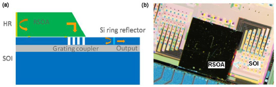 Figure 1: (a) Side-view schematic of surface-normal coupled hybrid laser, (b) microscope image of integrated 2x6 hybrid external-cavity laser array.