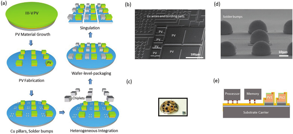 Figure 1: (a) Schematic package flow: III–V PV growth on SOI substrate, PV mesa etched down to buried oxide (BOX), PV cell fabrication and copper (Cu) interconnect, Cu pillar and solder bump formation for chip packaging, wafer-level selective bonding of fabricated chips, and chip singulation using deep Si reactive ion etching (RIE). (b) Scanning electron microscopy image of wiring and pads for pillar and solder bumps. (c) Picture of dust device with ladybug to illustrate relative size. (d) Scanning electron microscopy image of solder bumps. (e) Cross-section schematic of small computer system.