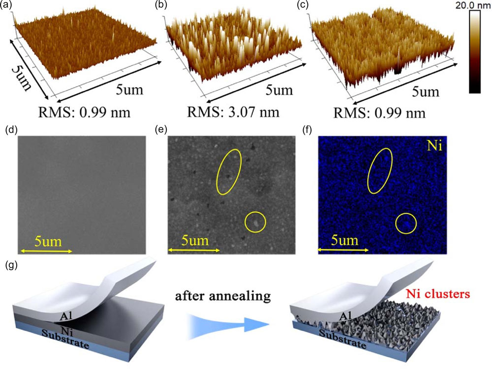 Figure 1: Surface morphologies of Ni/Al on sapphire before (a) and after (b) RTA; (c) surface morphology of single Al layer under same thermal treatment; scanning electron microscope (SEM) images of Ni/Al on DUV-LED before (d) and after (e) RTA; (f) energy-dispersive spectroscopy mapping of nickel composition distribution in SEM field; (g) schematic diagram showing formation of Ni clusters.