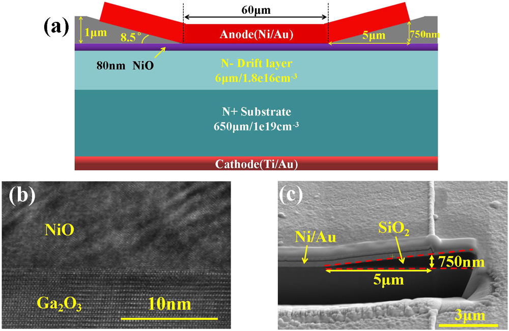 Figure 1: Schematic cross-section of (a) NiO/Ga2O3 HJD with JTE and small-angle BFP, (b) cross-sectional high-resolution transmission electron microscope images of NiO/Ga2O3 interface, and (c) cross-sectional scanning electron microscope images of BFP structure.